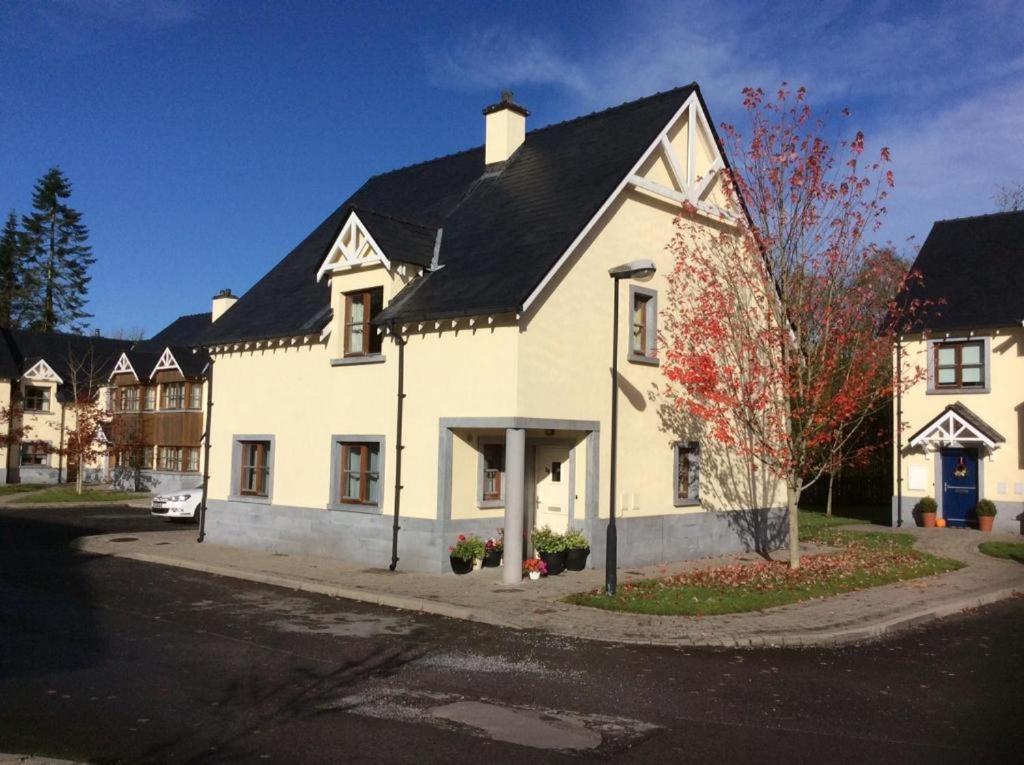 Ballyfarnon Kilronan 4 Bed House On Castle Groundsヴィラ エクステリア 写真